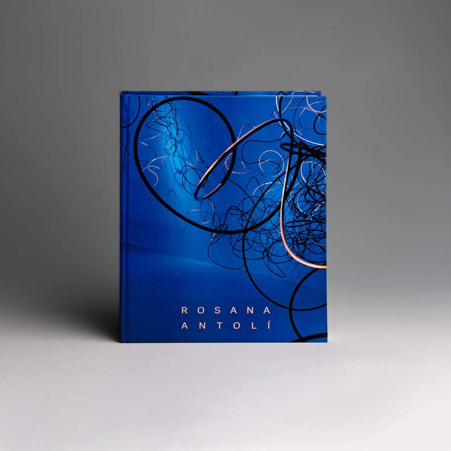 A Dot - A Bird - A Stone By Rosana Antolí